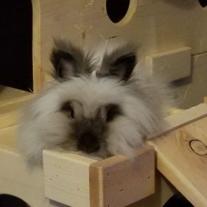 Meet your Posher, Krystal